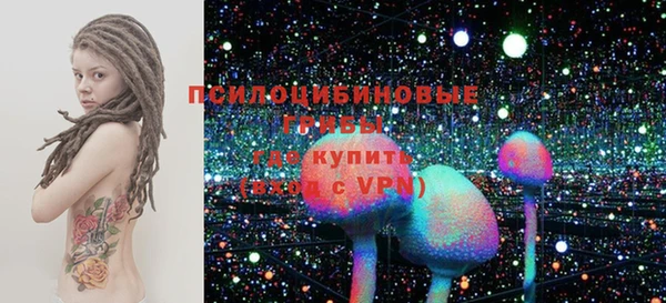 прущие грибы Магадан