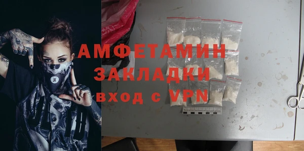 прущие грибы Магадан