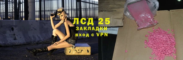 прущие грибы Магадан