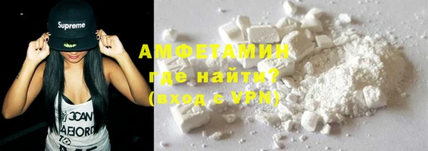 прущие грибы Магадан