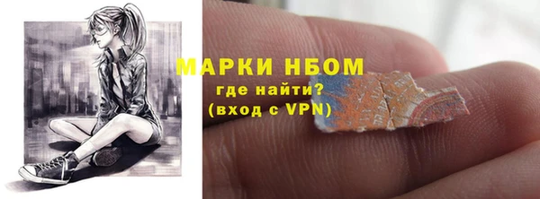 прущие грибы Магадан