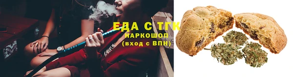 прущие грибы Магадан