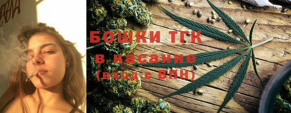 прущие грибы Магадан