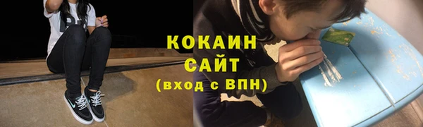 прущие грибы Магадан
