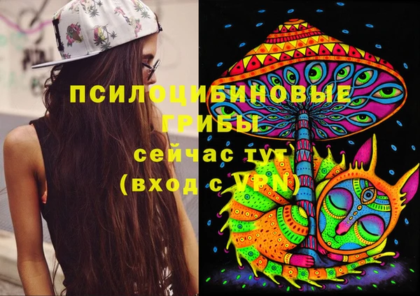 прущие грибы Магадан