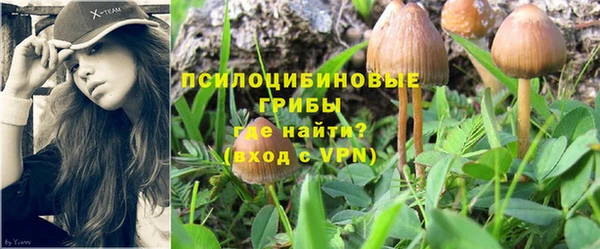 гашишное масло Магас