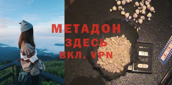 прущие грибы Магадан