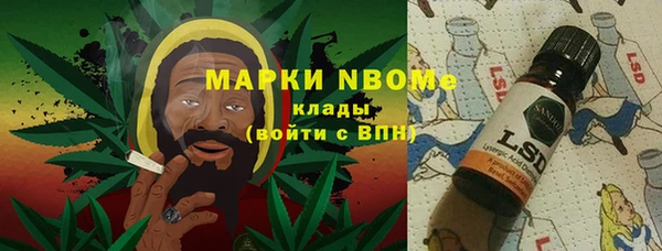 прущие грибы Магадан