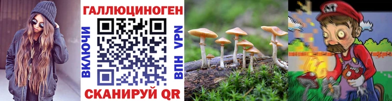 Псилоцибиновые грибы Cubensis  Абинск 