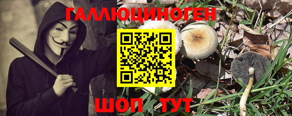 Где купить  NBOMe  МАРИХУАНА  Мефедрон  Марихуана  Вход с VPN  Codein  Гарик  Cocaine  А ПВП  Абинск  Плюхи  Метамфетамин 
