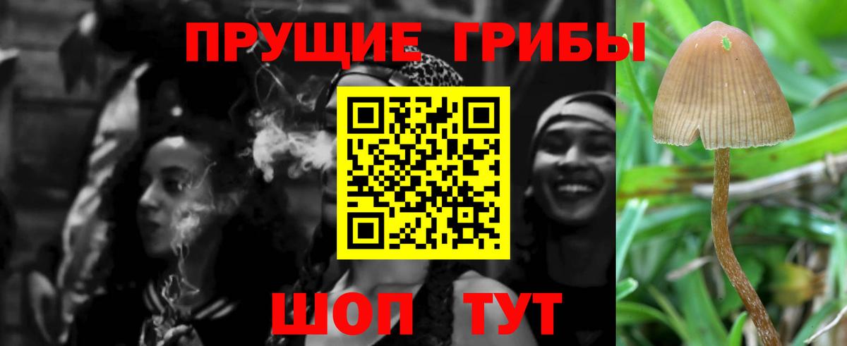 как найти наркотики  Вход с VPN  Абинск  Псилоцибиновые грибы MAGIC MUSHROOMS 
